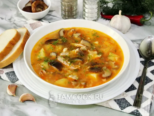 Фото блюда: Рассольник с солеными грибами