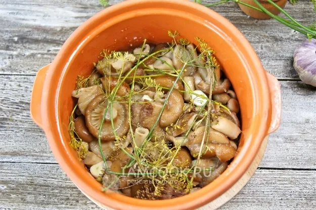 Шаг 8: иллюстрация