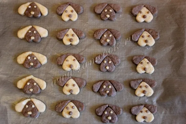 Шаг 11: иллюстрация