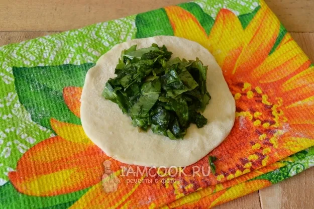 Шаг 14: иллюстрация