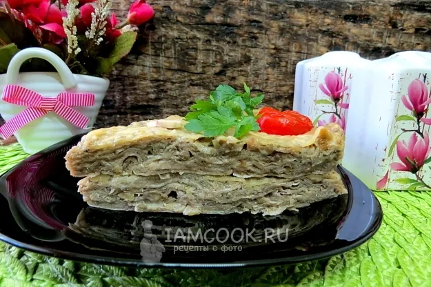 Шаг 16: иллюстрация