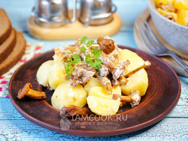 Фото готового блюда: Тушеные лисички с картошкой в сметане