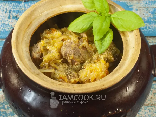 Фото готового блюда: Жаркое с капустой в горшочке в духовке