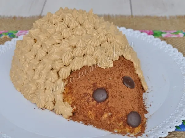 Шаг 20: иллюстрация