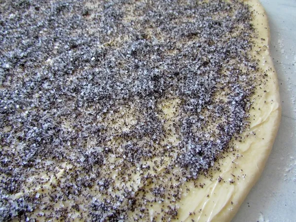 Шаг 16: иллюстрация