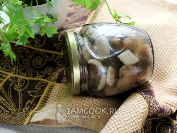 Фото блюда: Маринованные маслята на зиму горячим способом