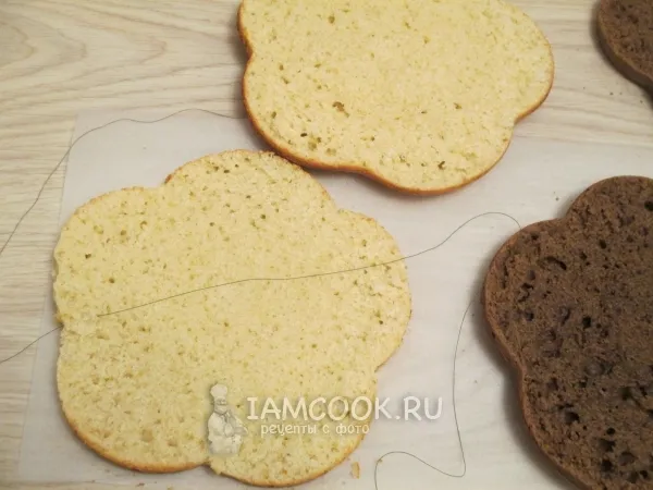 Шаг 14: иллюстрация