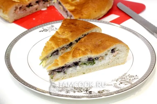 Шаг 12: иллюстрация