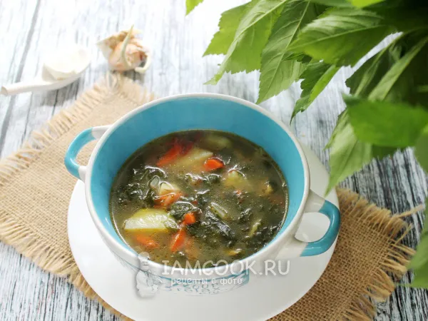 Фото блюда: Щи из сныти