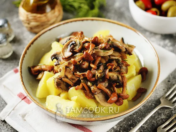 Фото готового блюда: Картофель с маринованными и свежими грибами