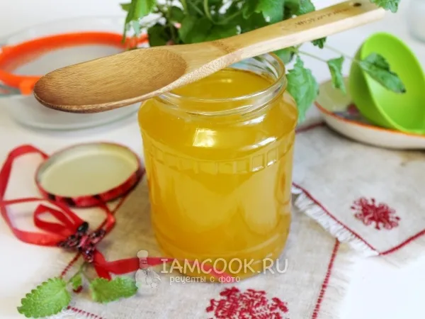 Фото готового блюда: Топленый гусиный жир