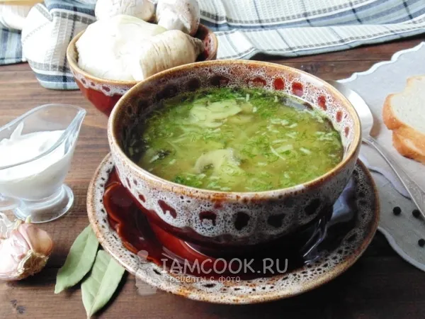 Фото блюда: Щи Валаамские