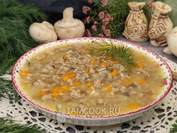 Фото блюда: Суп с грибами и фаршем