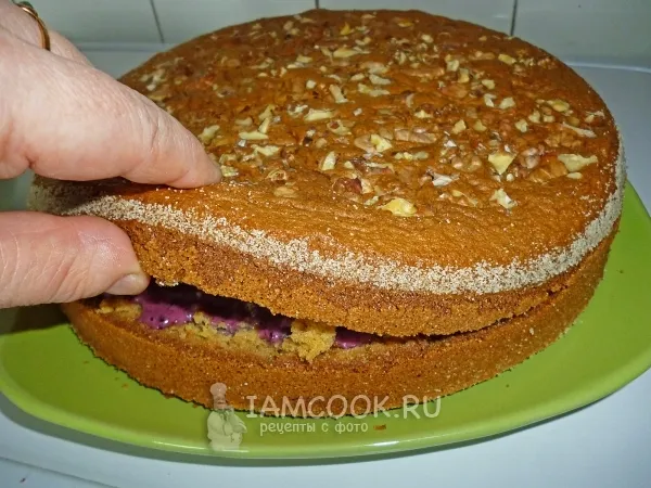 Шаг 16: иллюстрация