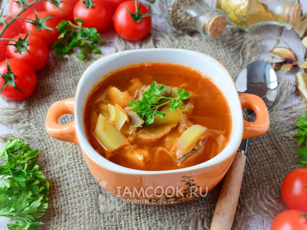 Фото блюда: Щи с сушеными грибами и свежей капустой