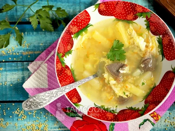 Фото блюда: Суп с пшеном и куриными желудками