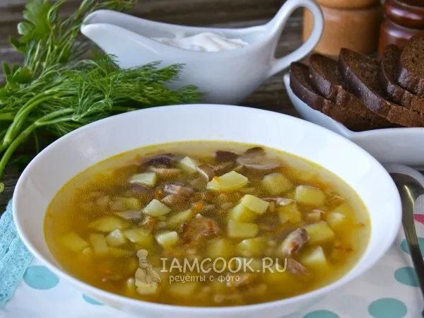 Фото готового блюда: Суп из замороженных белых грибов