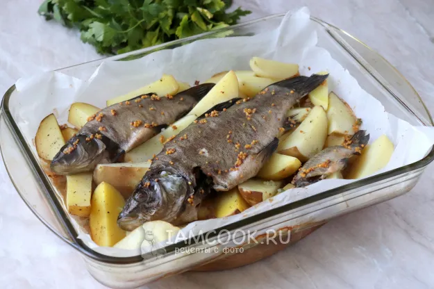 Шаг 4: иллюстрация