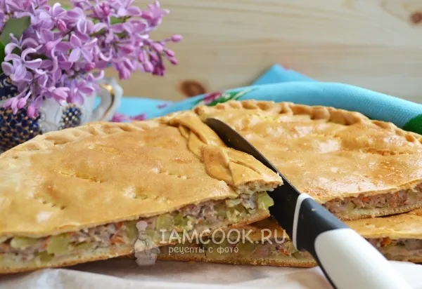 Шаг 16: иллюстрация