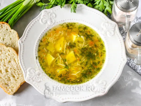 Фото готового блюда: Суп с вермишелью на утином бульоне