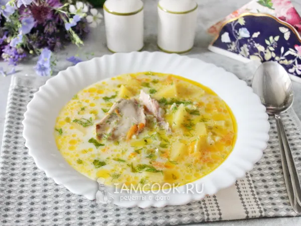 Фото готового блюда: Сливочный суп с индейкой