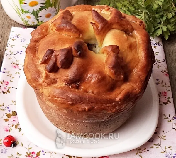 Шаг 15: иллюстрация