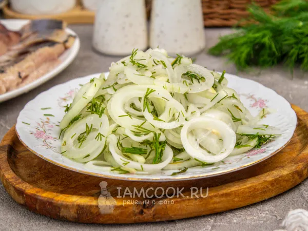 Фото блюда: Маринованный лук с укропом