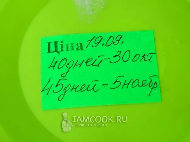 Шаг 9: иллюстрация