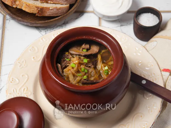 Фото блюда: Щи петровские (с грибами)