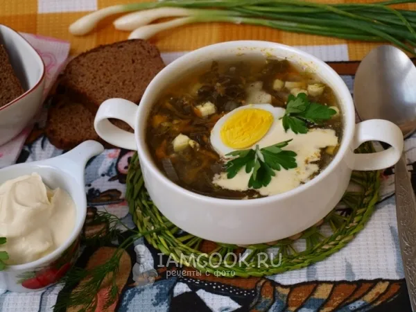 Фото блюда: Зелёный борщ со щавелем на мясном бульоне