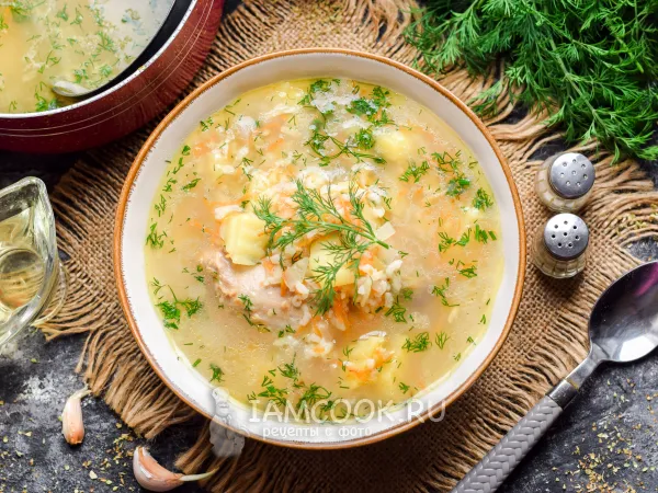 Фото готового блюда: Суп из шеи индейки