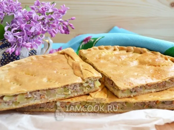 Фото готового блюда: Курник с мясом и картошкой