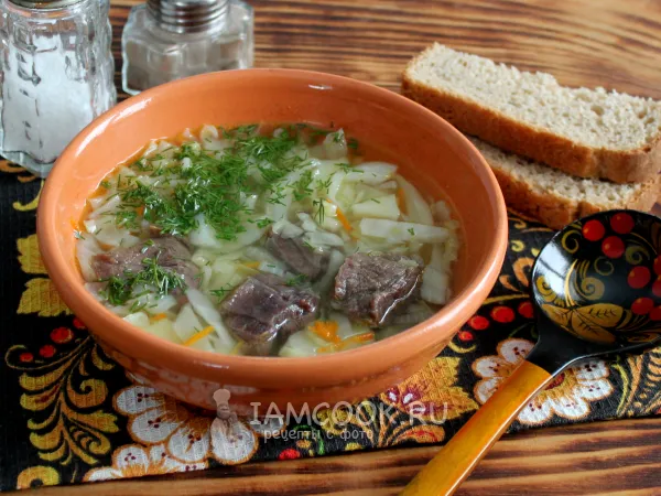 Фото блюда: Щи из лосятины