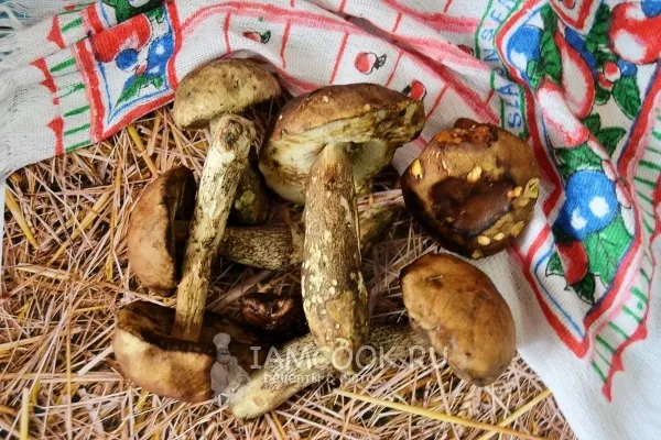 Шаг 1: иллюстрация