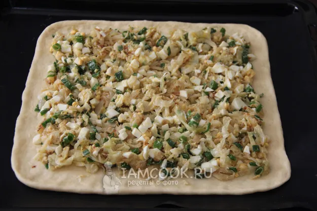 Шаг 15: иллюстрация