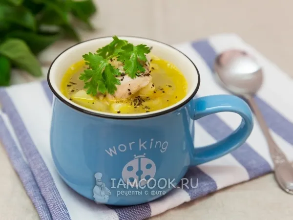 Фото готового блюда: Щи из квашеной капусты с курицей