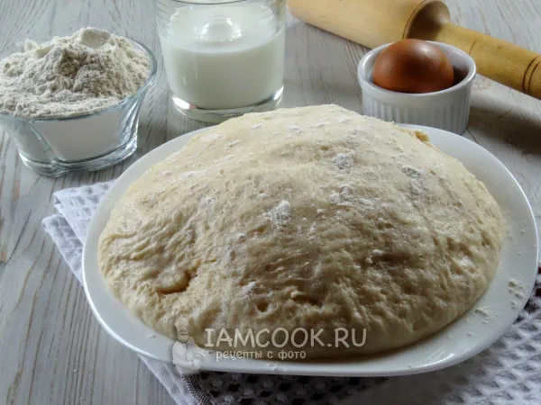 Фото блюда: Тесто для беляшей на молоке