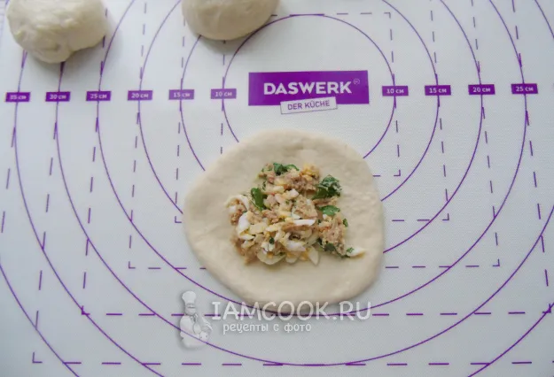 Шаг 12: иллюстрация