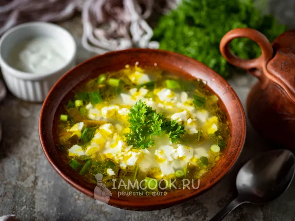 Фото готового блюда: Щавелевый суп с перловкой