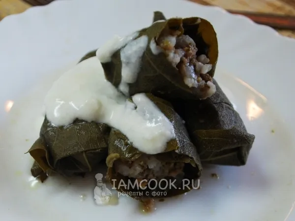 Фото готового блюда: Долма в виноградных листьях