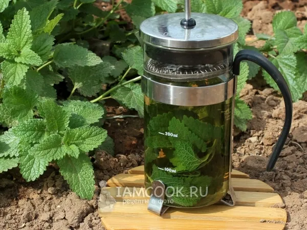 Фото блюда: Заморозка мяты