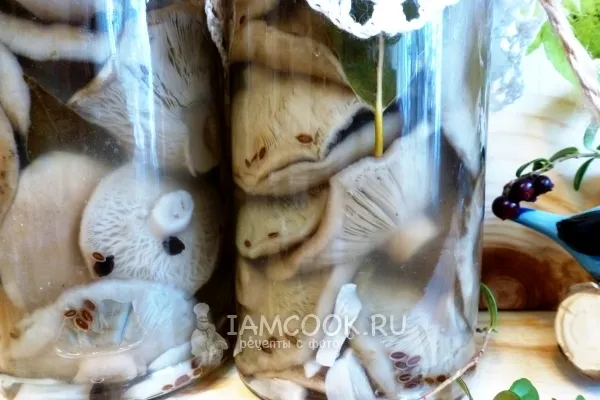 Шаг 10: иллюстрация