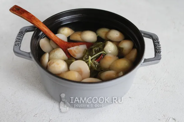 Шаг 8: иллюстрация