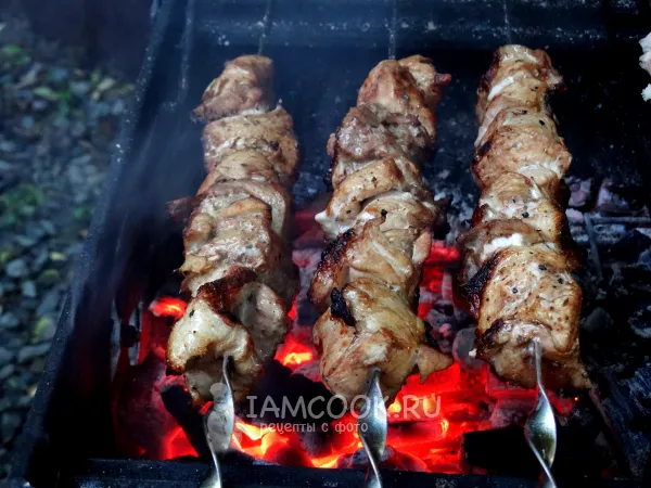Фото готового блюда: Шашлык с аджикой и соевым соусом