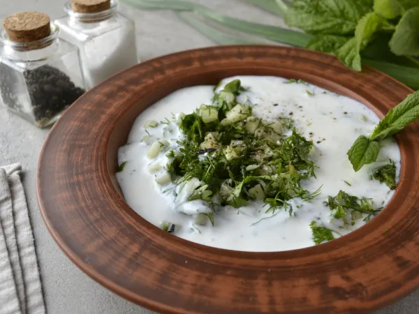 Фото блюда: Джаджик (турецкая «окрошка»)