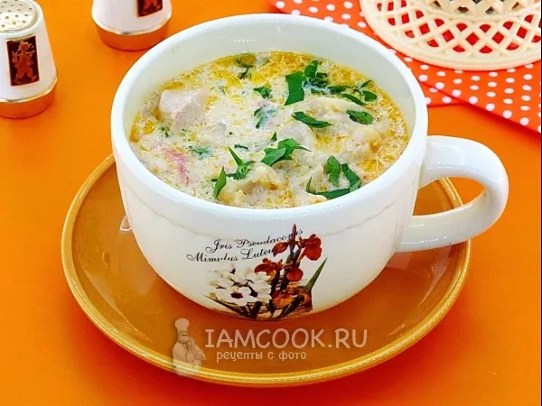 Фото блюда: Сливочный суп с курицей в мультиварке