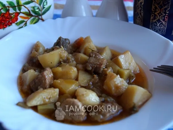 Фото готового блюда: Овощное рагу со свининой