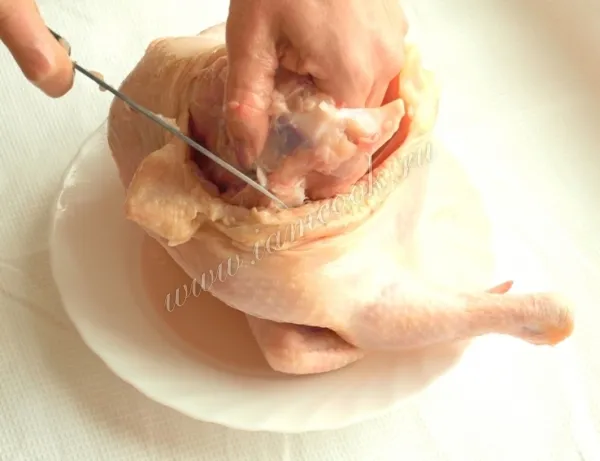 Шаг 5: иллюстрация