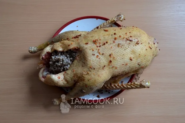 Шаг 5: иллюстрация