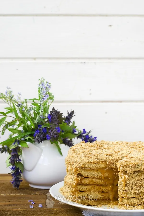 Шаг 18: иллюстрация